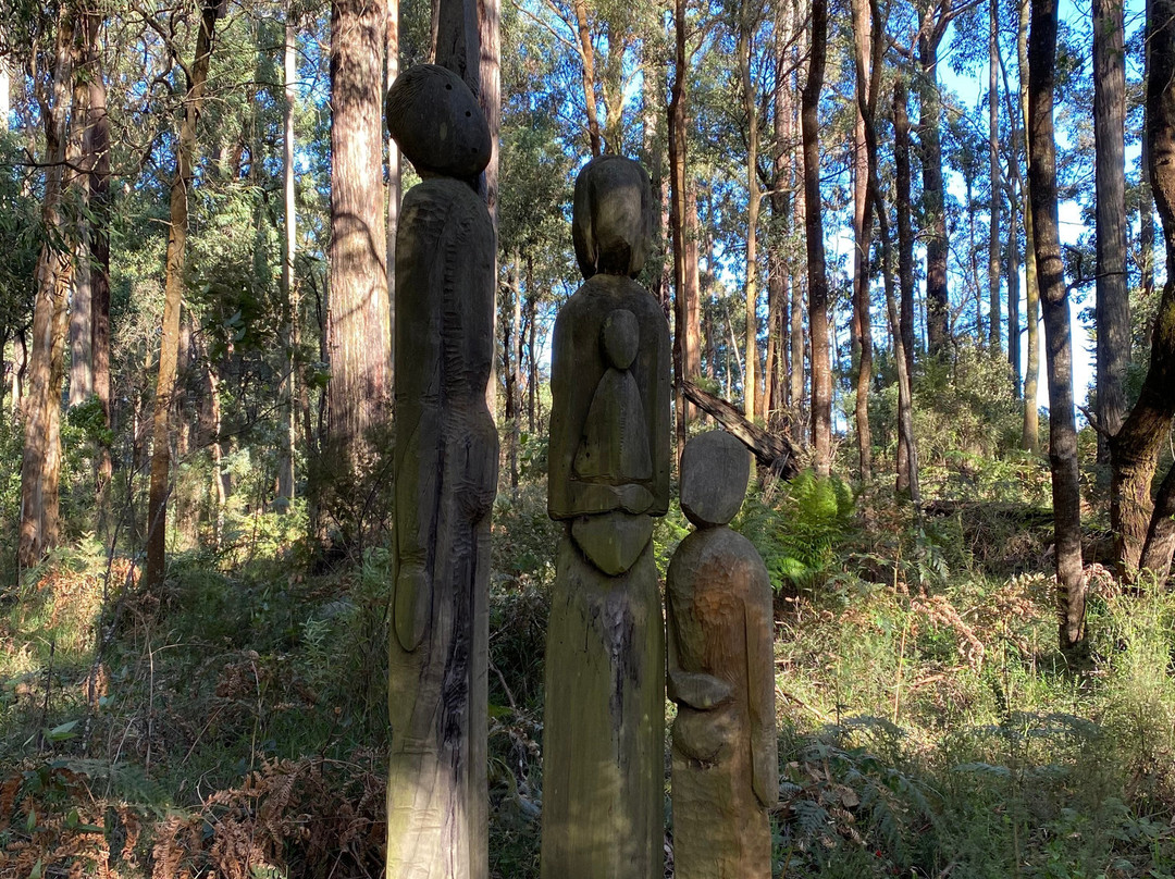 Toolangi Sculpture Trail景点图片
