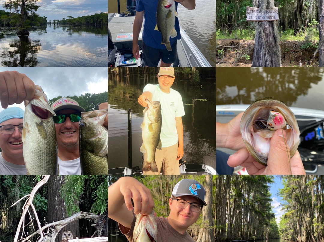 Shady Glade Resort主图