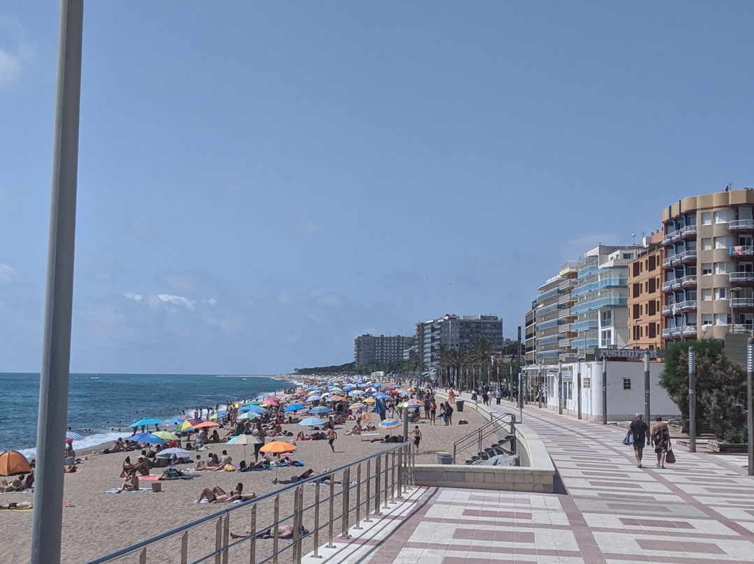 Platja de Blanes景点图片