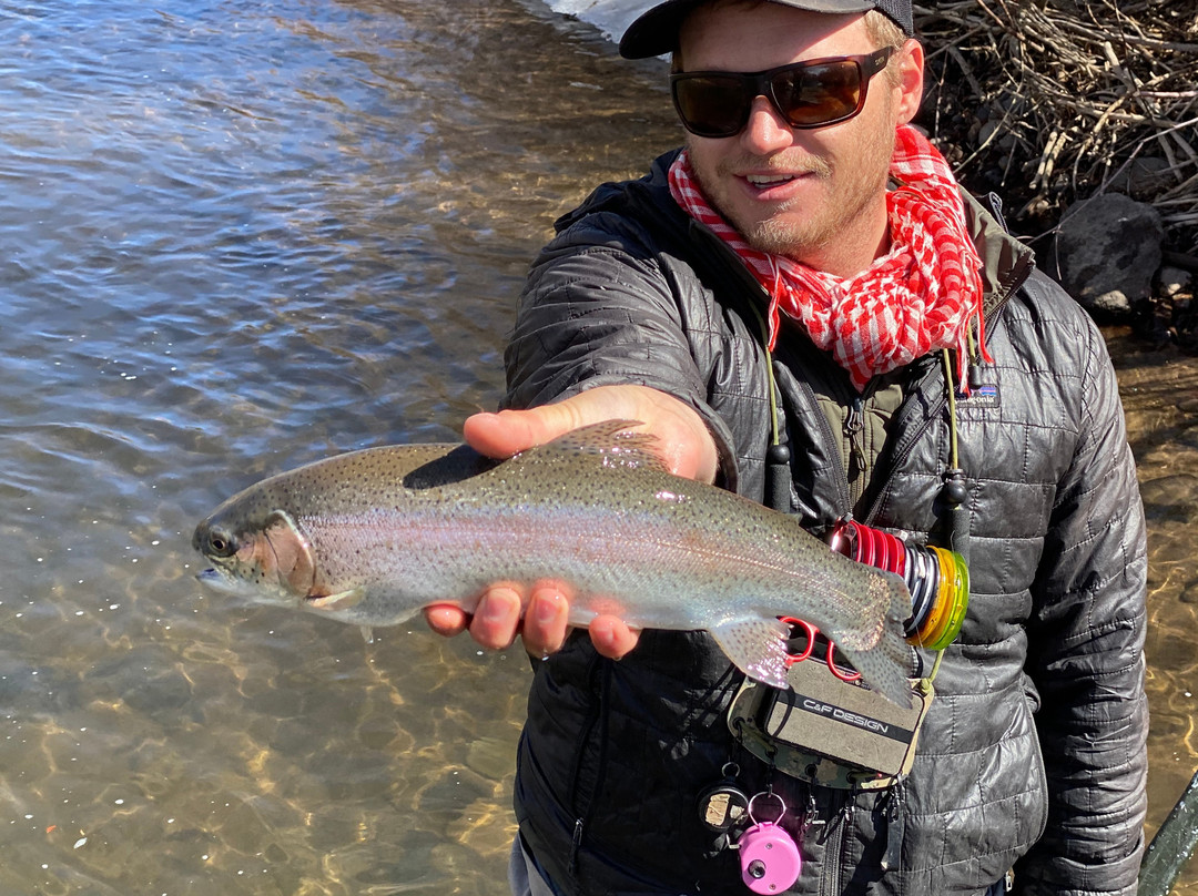 About Trout Fly Fishing-Chama必去景点