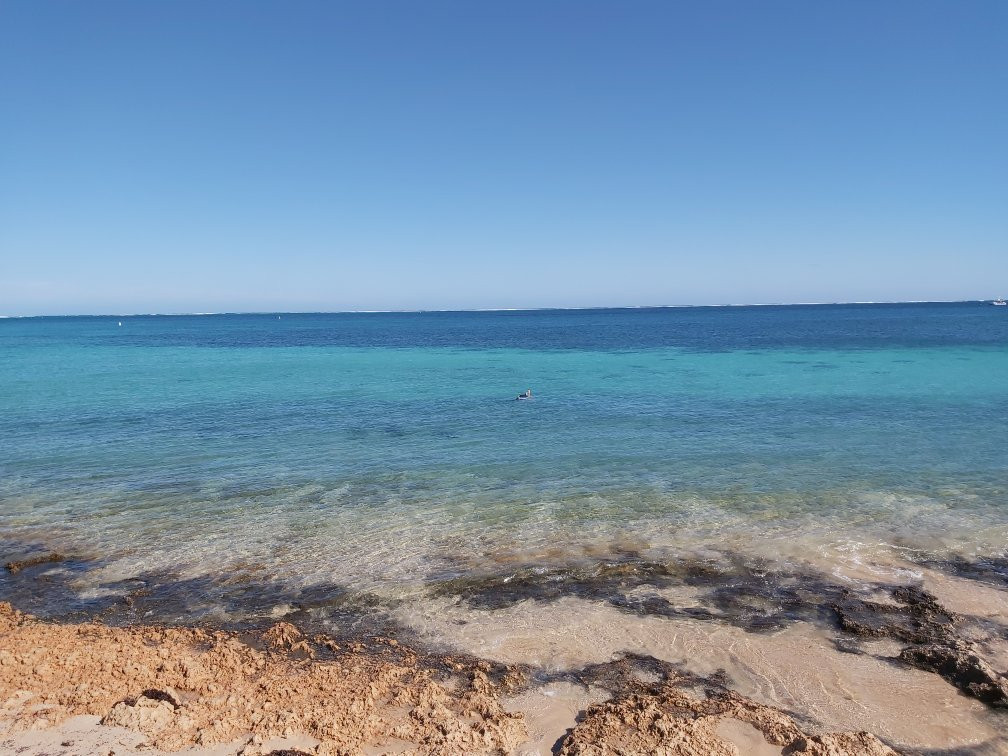 Ningaloo Marine Park-珊瑚湾必去景点