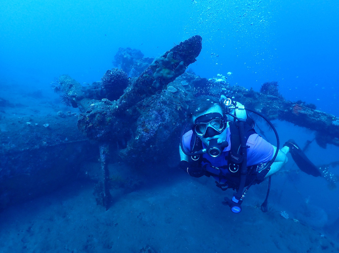 Rabaul Dive Adventures-Kokopo必去景点
