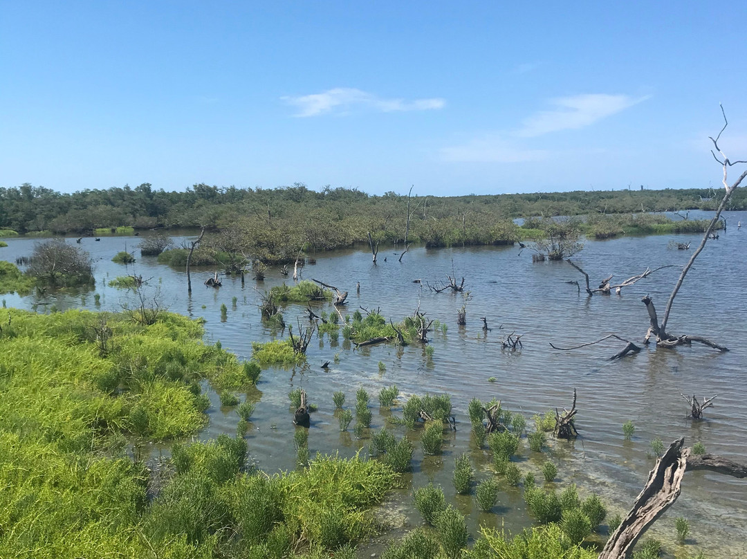 Pelican Island National Wildlife Refuge-维罗海滩必去景点