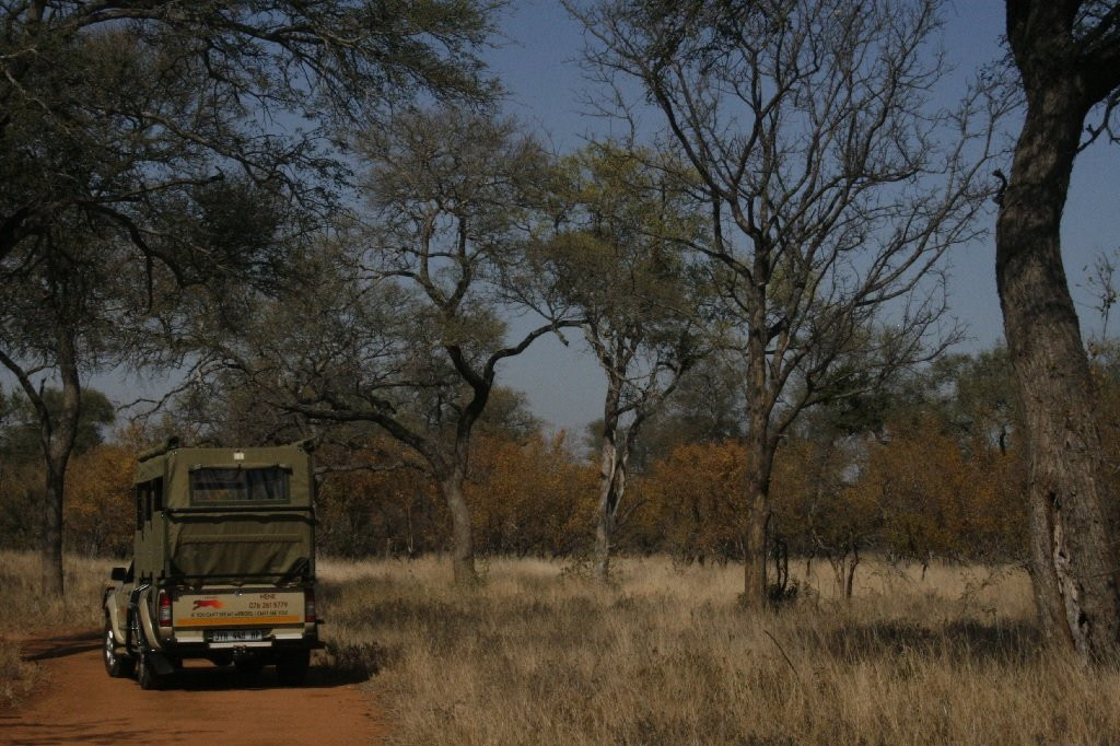 African Flame Safaris景点图片