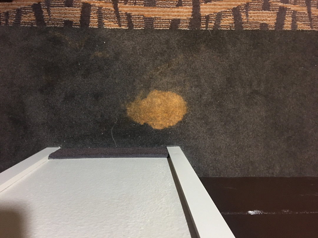 Sleep Inn & Suites Jasper I-22主图