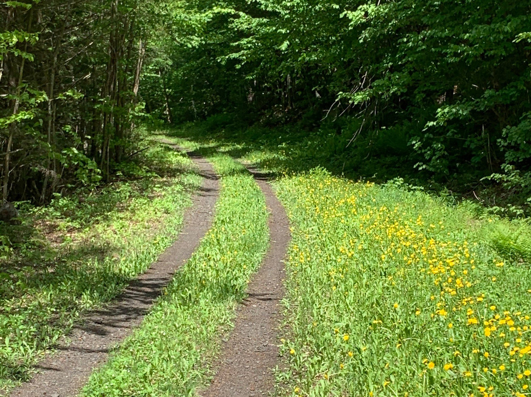 Presidential Rail Trail-Gorham必去景点