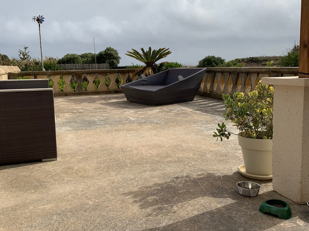 Mood Farmhouse Mythology主图