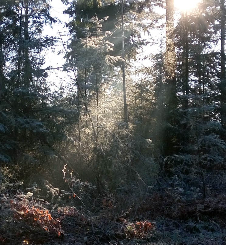 Natuurgebied Beekvliet-Borculo必去景点