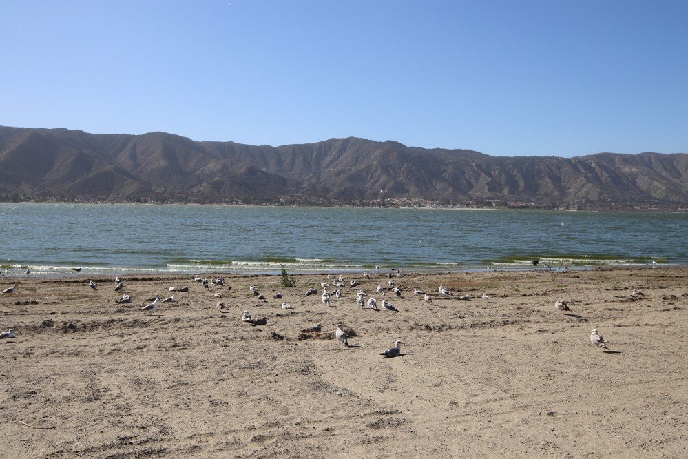 Elm Grove Beach-埃尔西诺湖必去景点