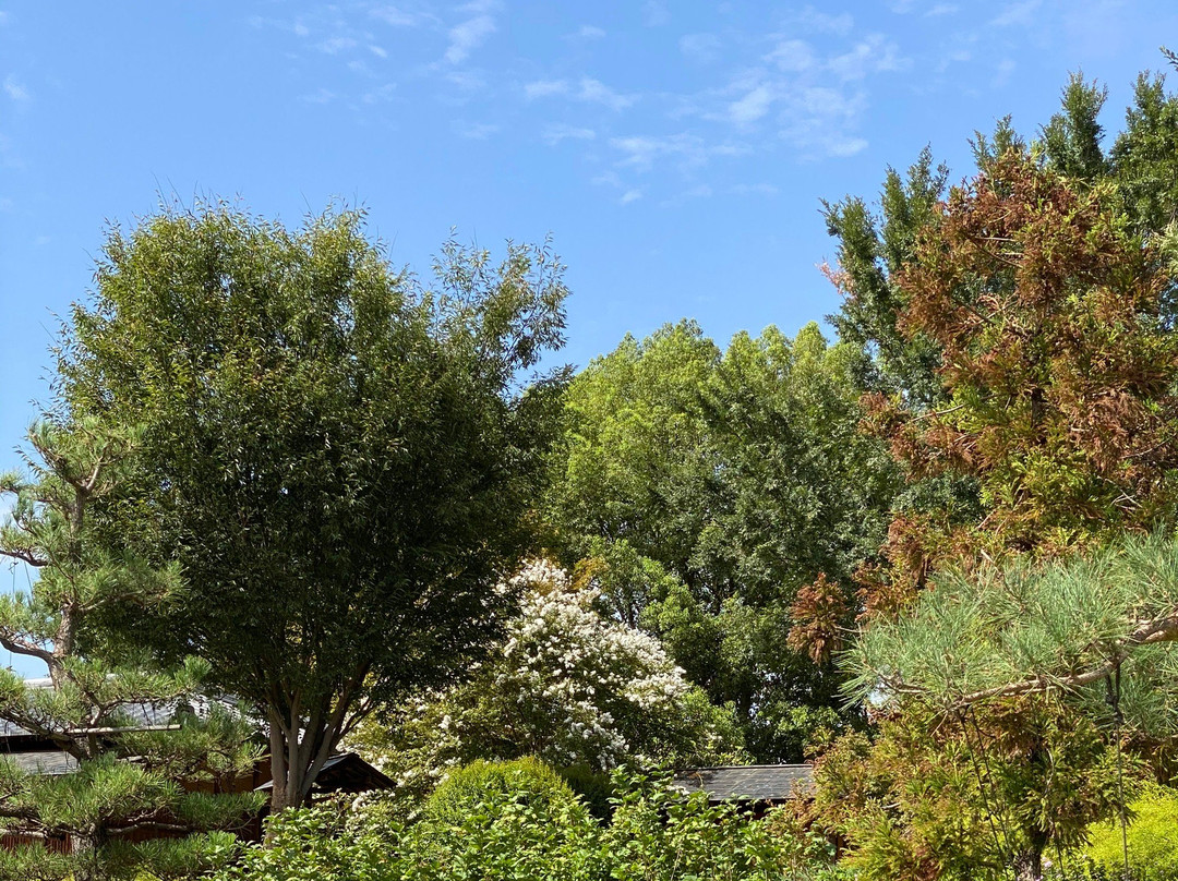 Shoyoen Japanese Garden景点图片