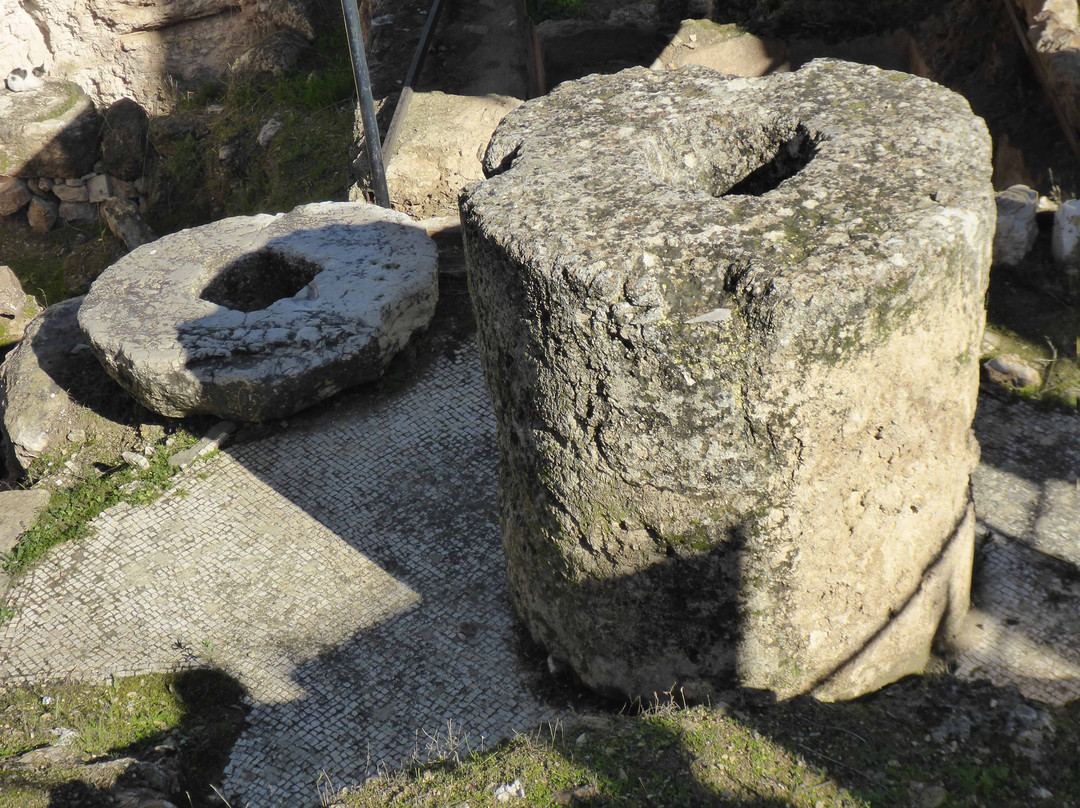 Shepherd's Sanctuary-Beit Sahour必去景点