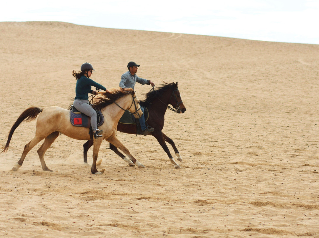 Egypt Horse Riding & Photography-开罗必去景点