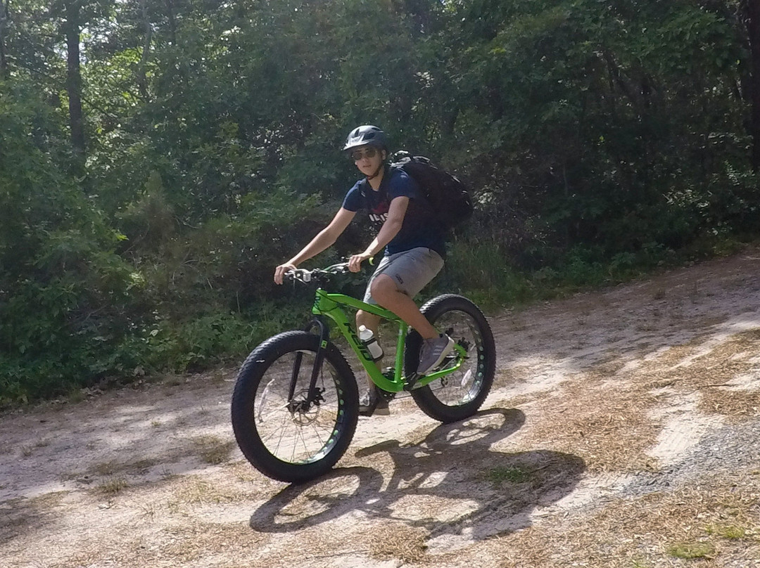 Knockabout Travel-Mashpee必去景点