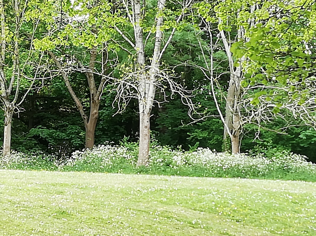 Ashcombe Park-滨海韦斯顿必去景点