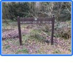 Whippendell Wood景点图片