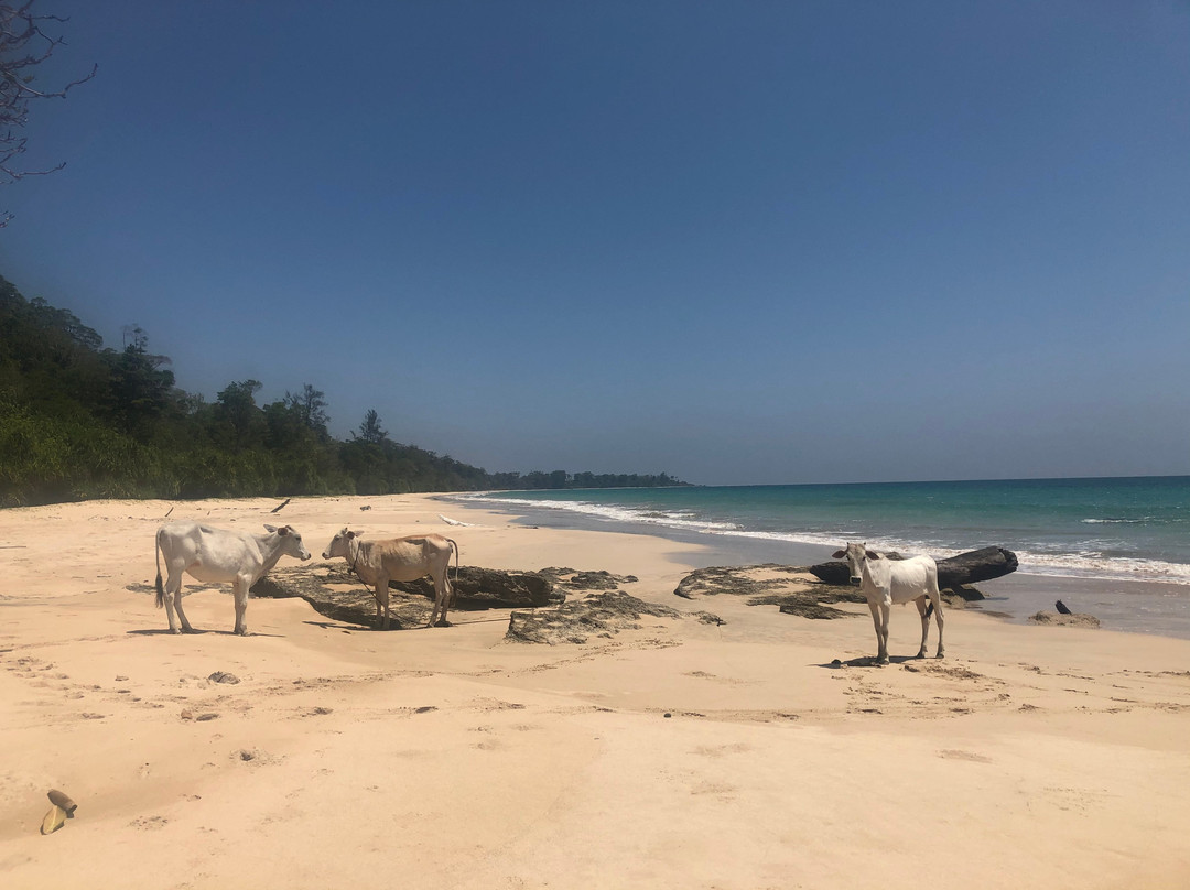 Little Andaman Island景点图片