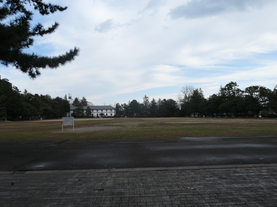 Tsutsujigaoka Park-仙台市必去景点