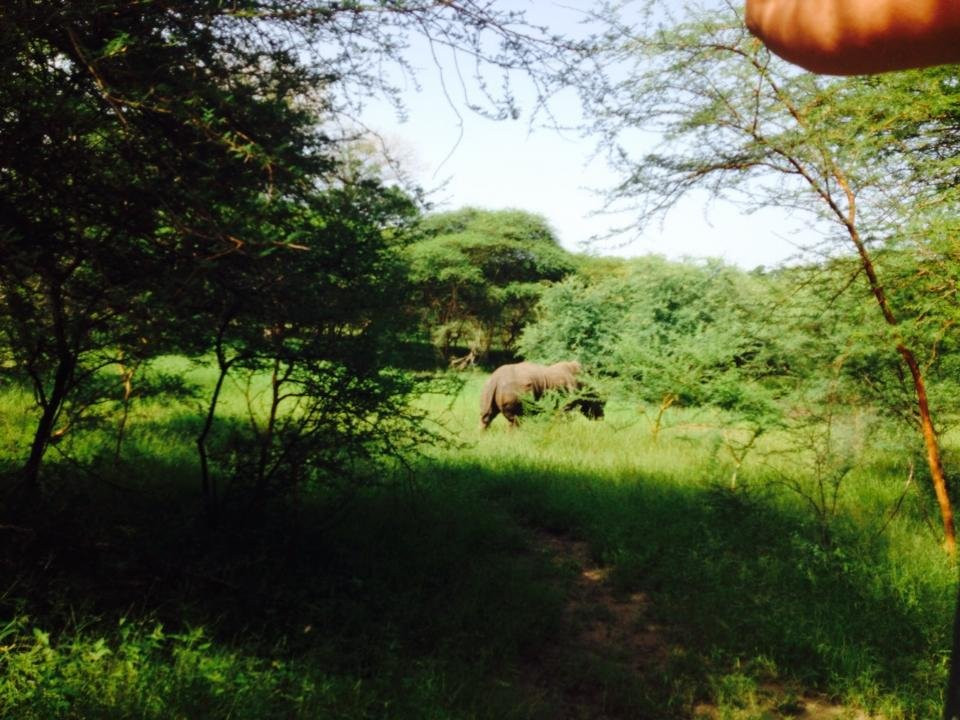 Royal Baobab Excursions景点图片