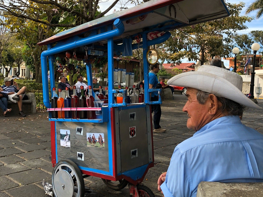 Tico Lingo-爱雷迪雅必去景点