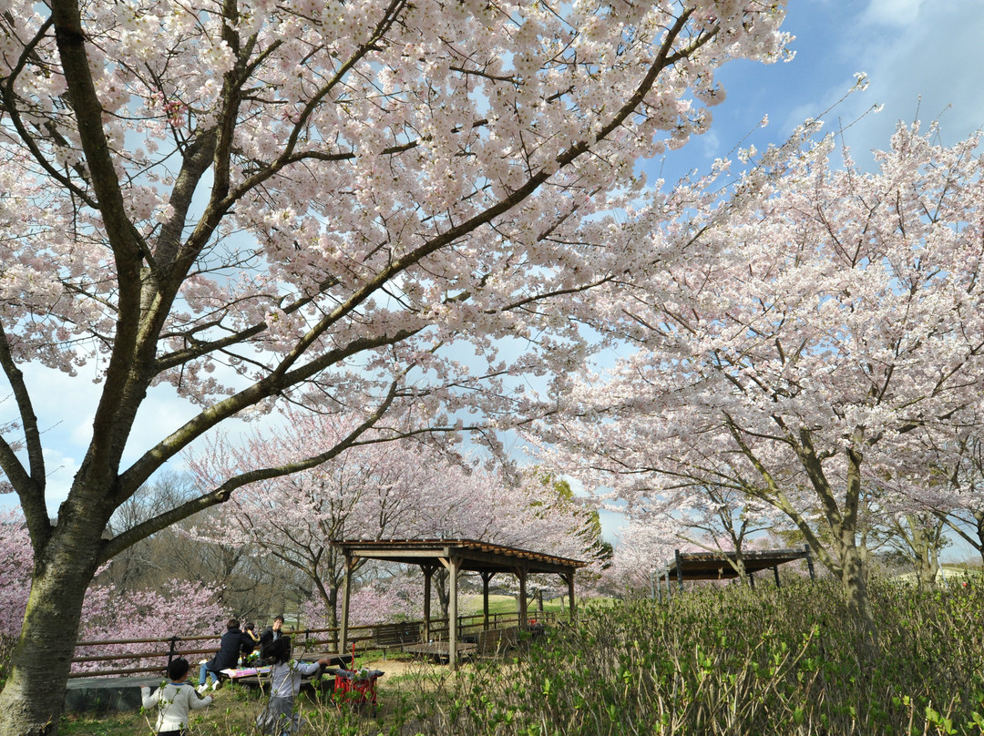 Sanuki Manno Park-满浓町必去景点