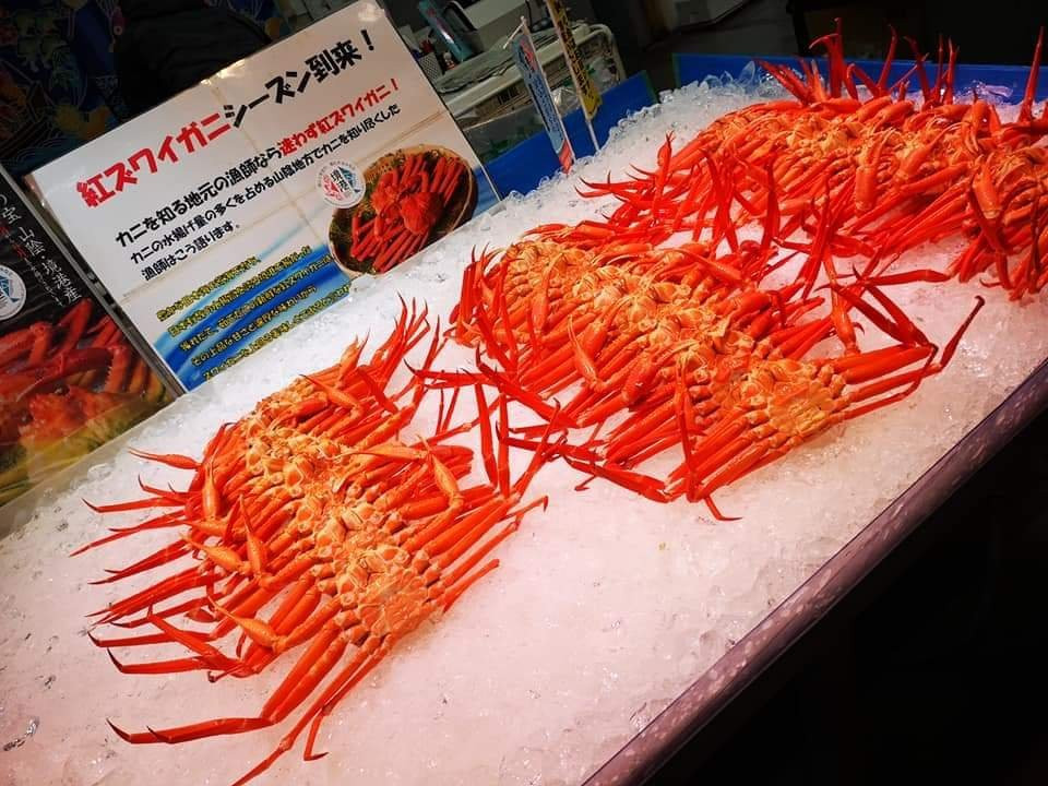 Sakai Port Seafood Shopping Center-境港市必去景点