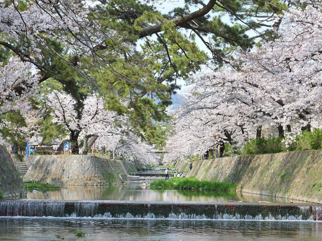 Shukugawa Park-西宫市必去景点