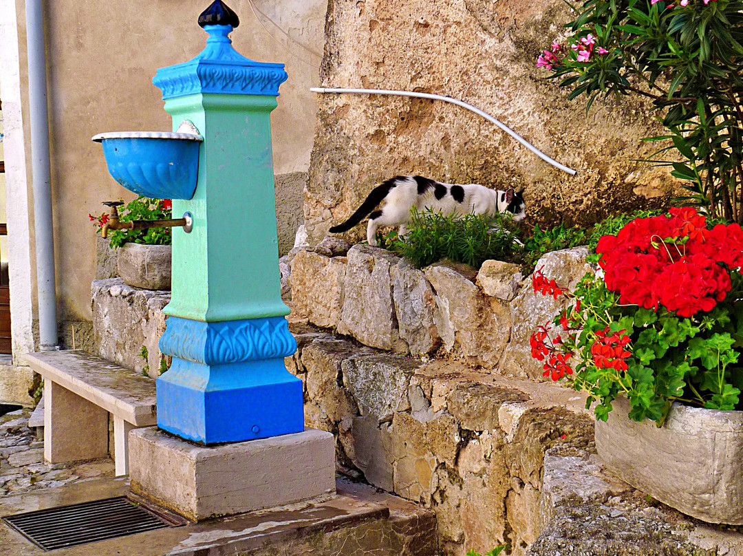 Moscenice旅游攻略图片