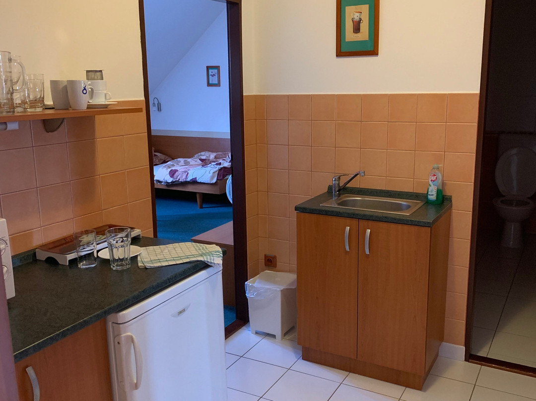 Hotel u Kapra主图