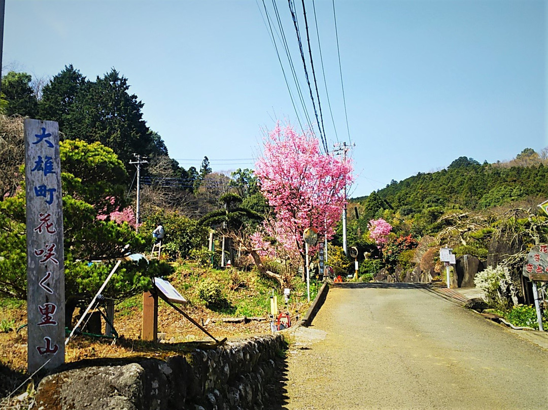 Hanasaku Satoyama Walk-南足柄市必去景点