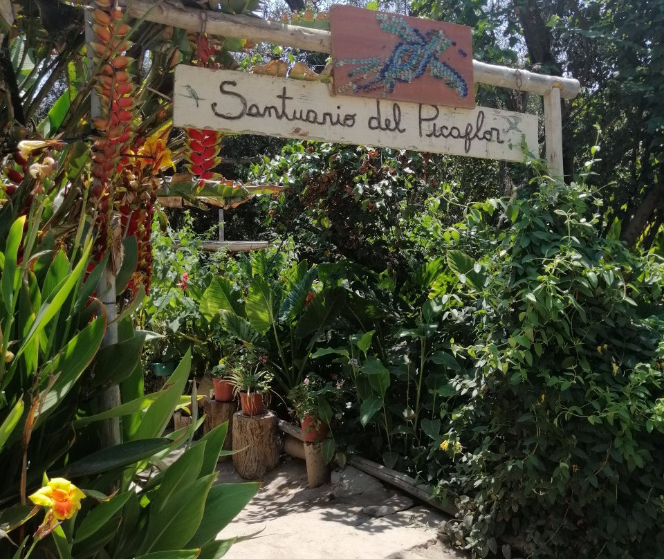 Santuario Del Picaflor景点图片