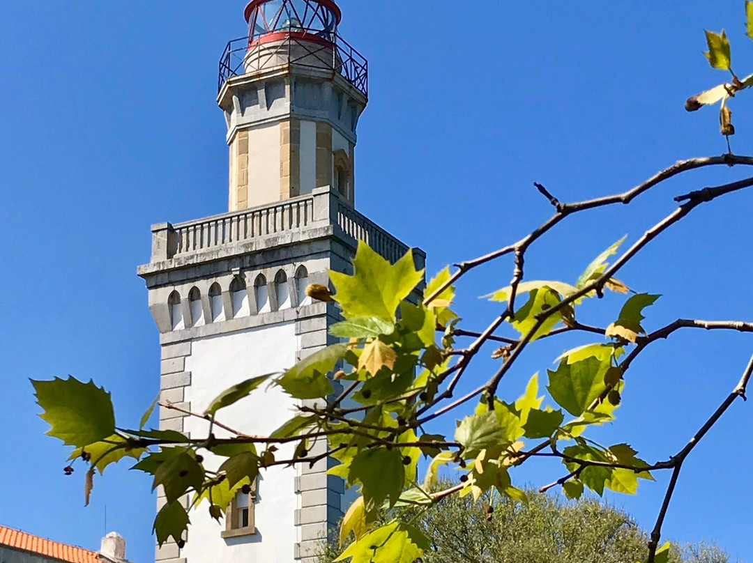 Higer Lighthouse景点图片
