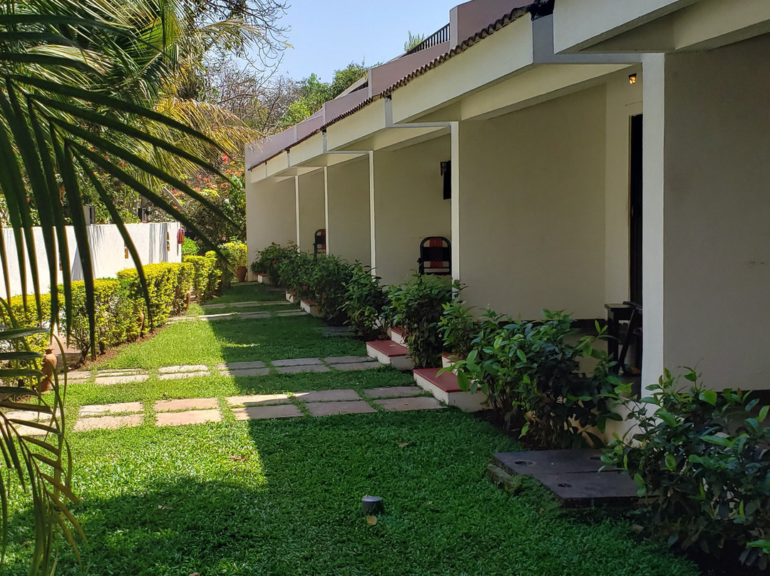 榕树灵魂酒店主图