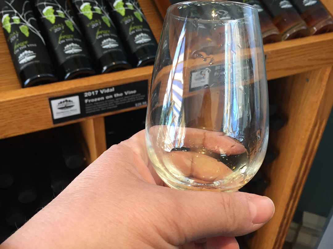 Georgian Hills Vineyards-蓝山必去景点