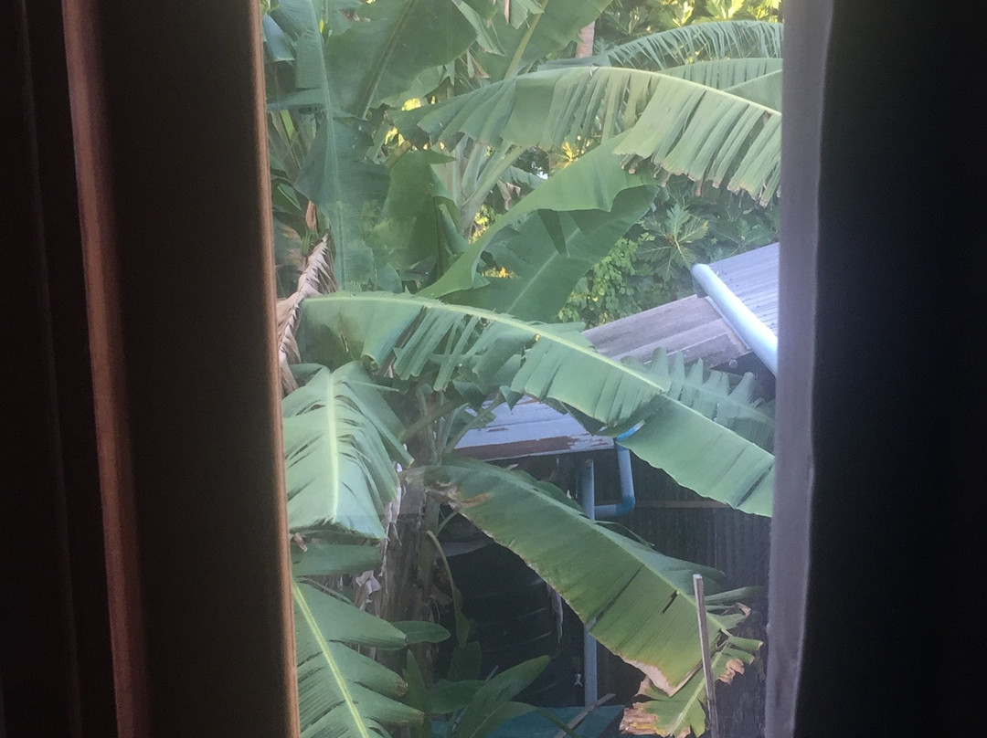 By The Shade Maldives主图