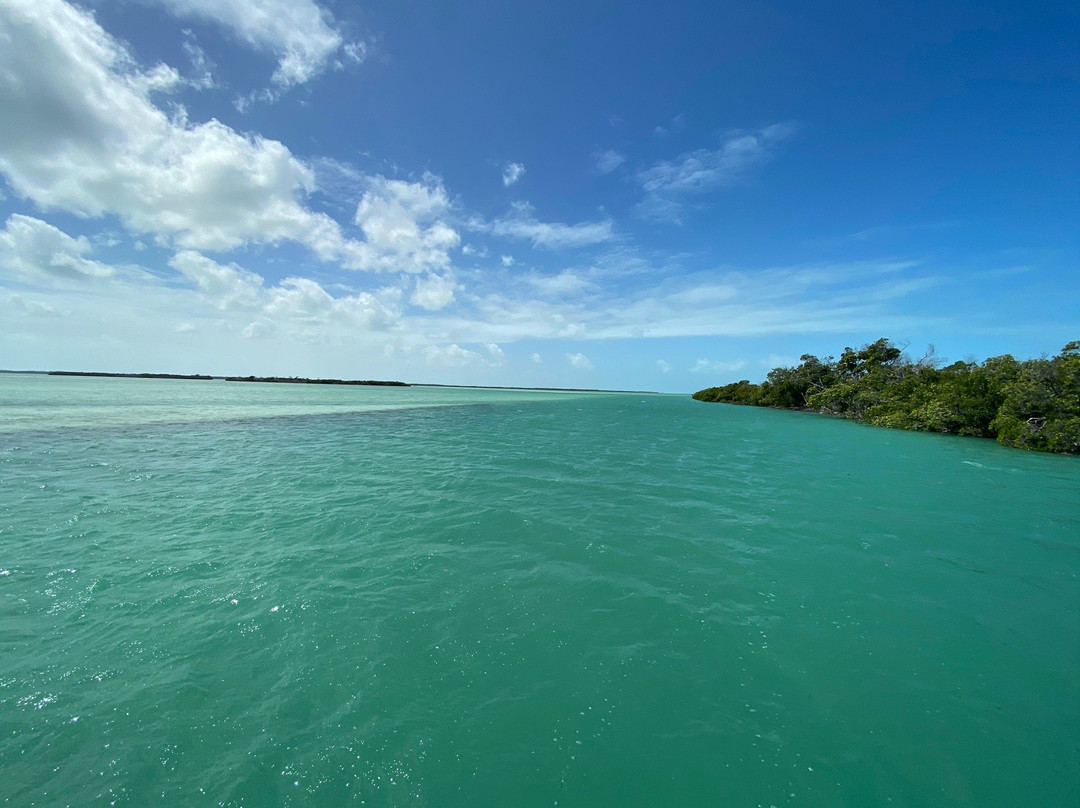 Native Guidance-Sugarloaf必去景点