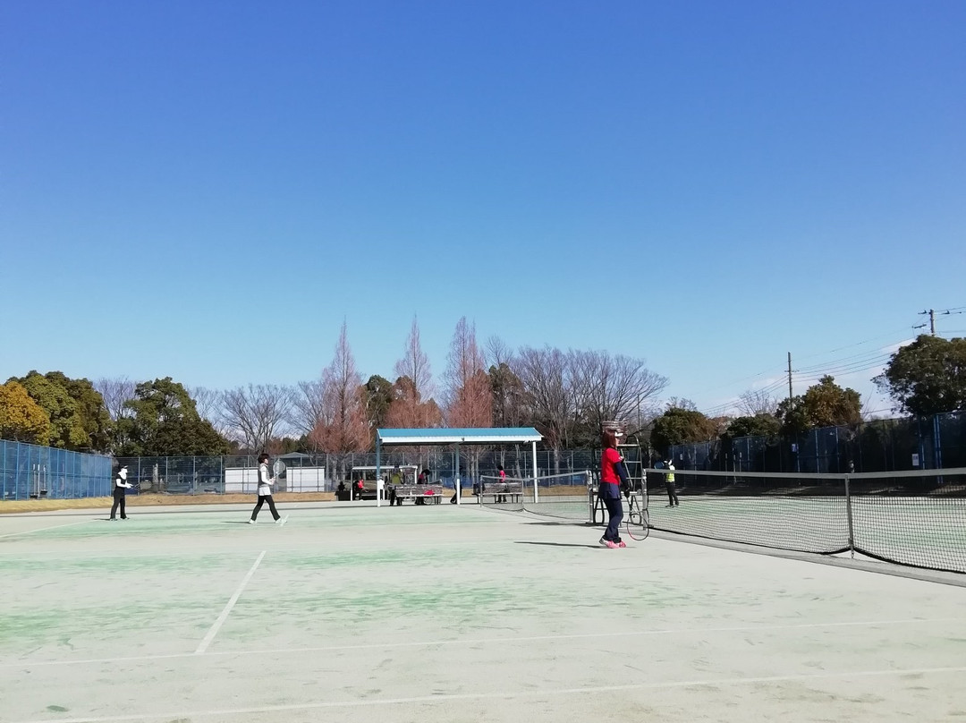Shirakobato Water Park-越谷市必去景点