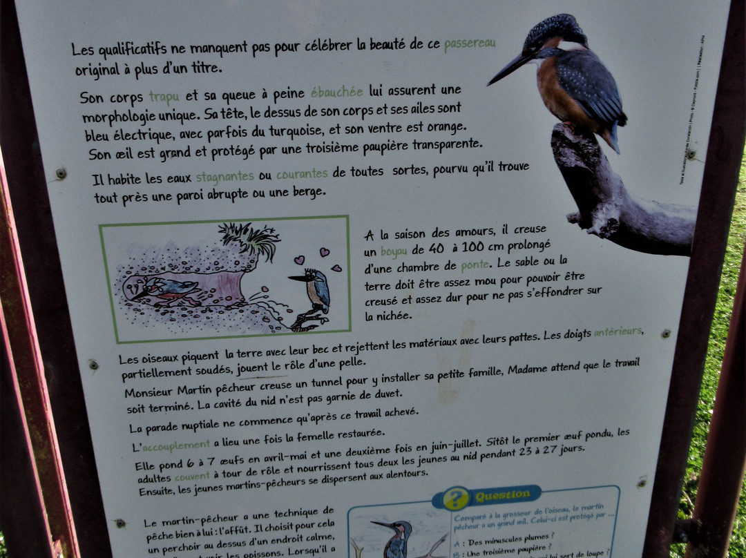 Parc Naturel du Patis-莫城必去景点