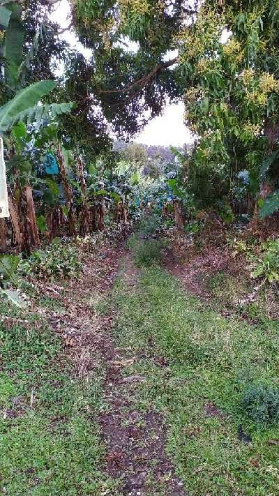 Saut d'Eau du Matouba-Saint-Claude必去景点