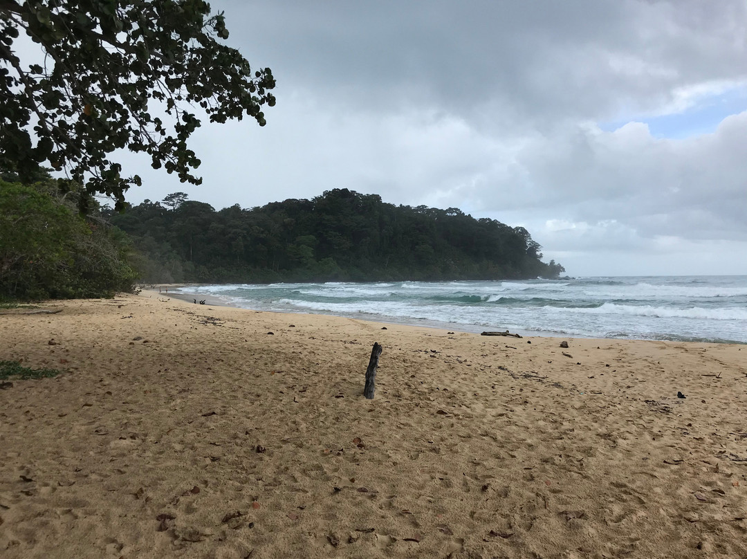 Wizard Beach景点图片
