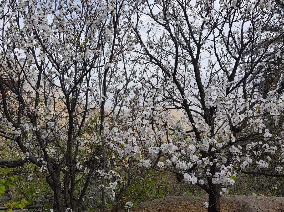 Wakan Village-Sohar必去景点