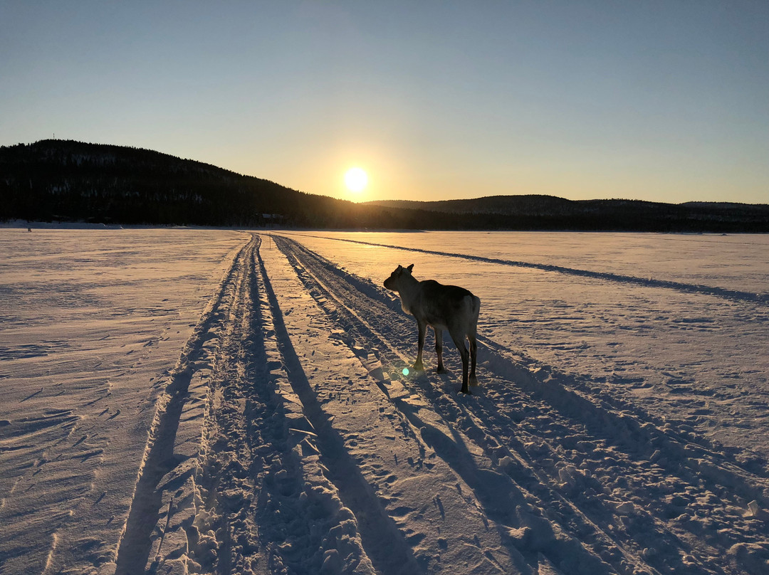乌孔湖度假村主图