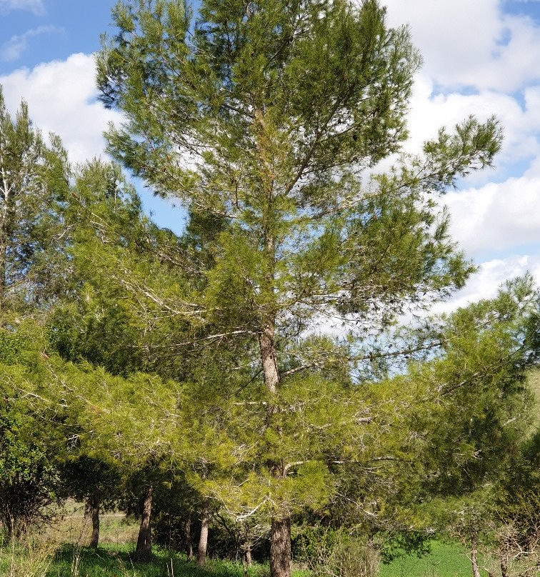 Giv'at HaRakafot-Ramot Menashe必去景点