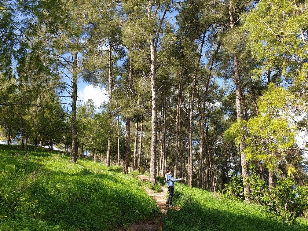 Giv'at HaRakafot-Ramot Menashe必去景点