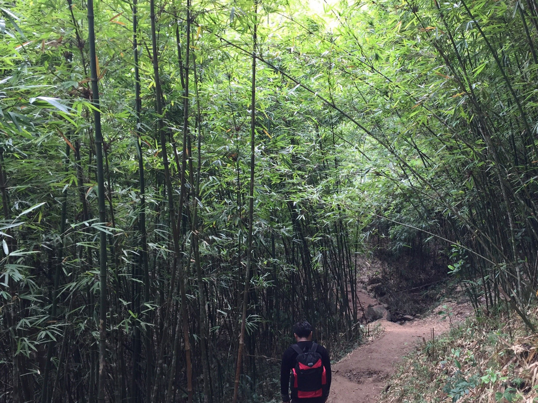 Sapa Hmong Family Trekking Adventures-沙巴必去景点