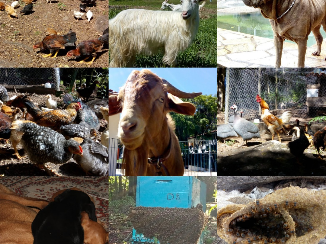 Hotel Vale do Funil主图