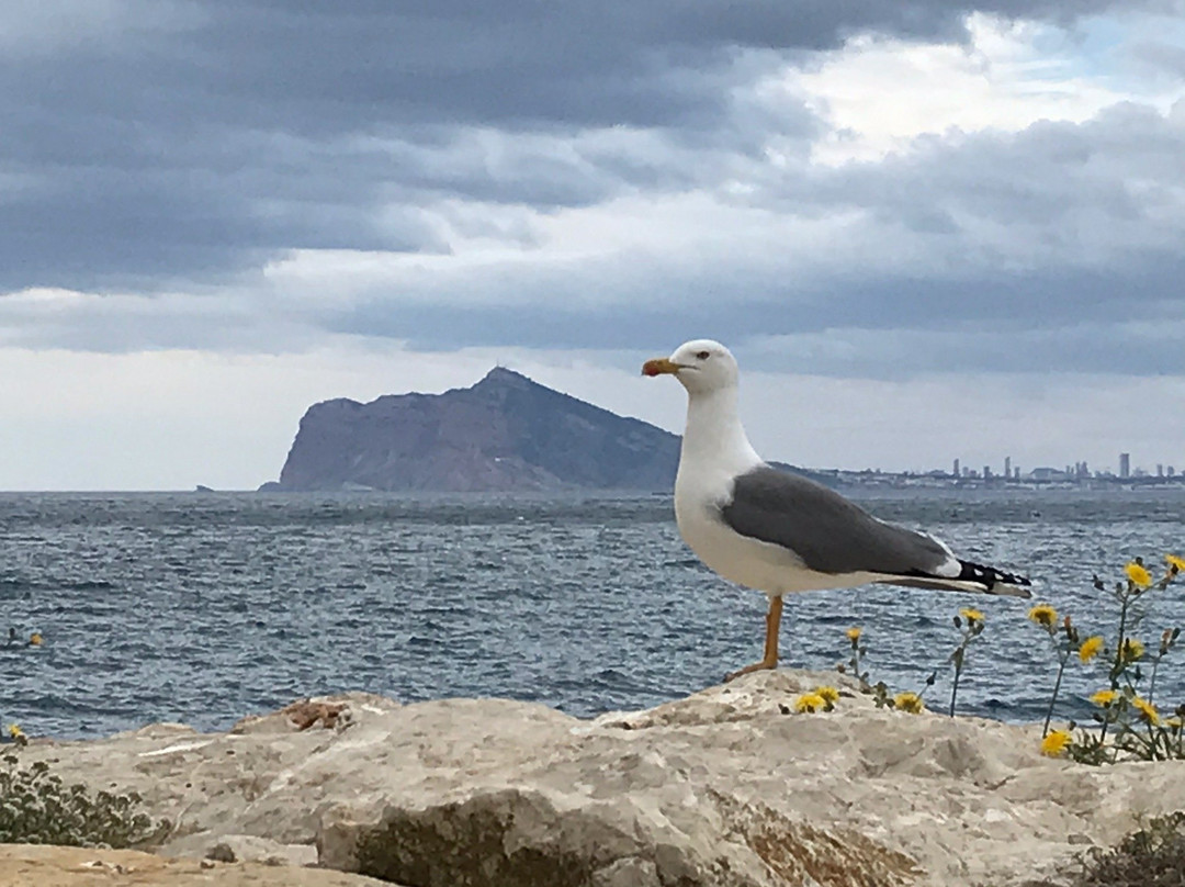 Cala De Calpe景点图片