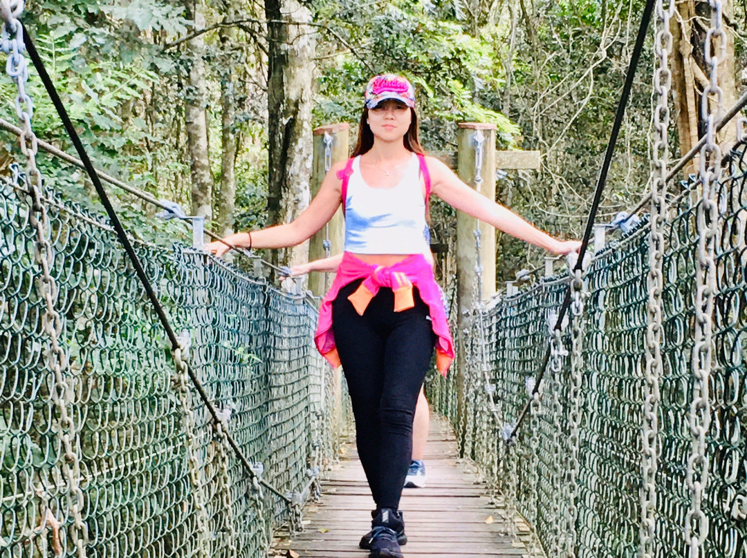Lamington National Park景点图片
