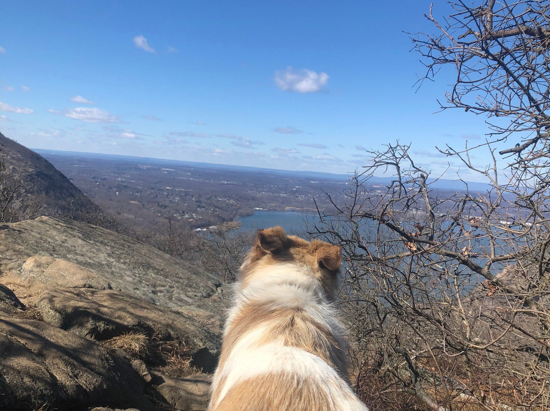 Breakneck Ridge Loop景点图片