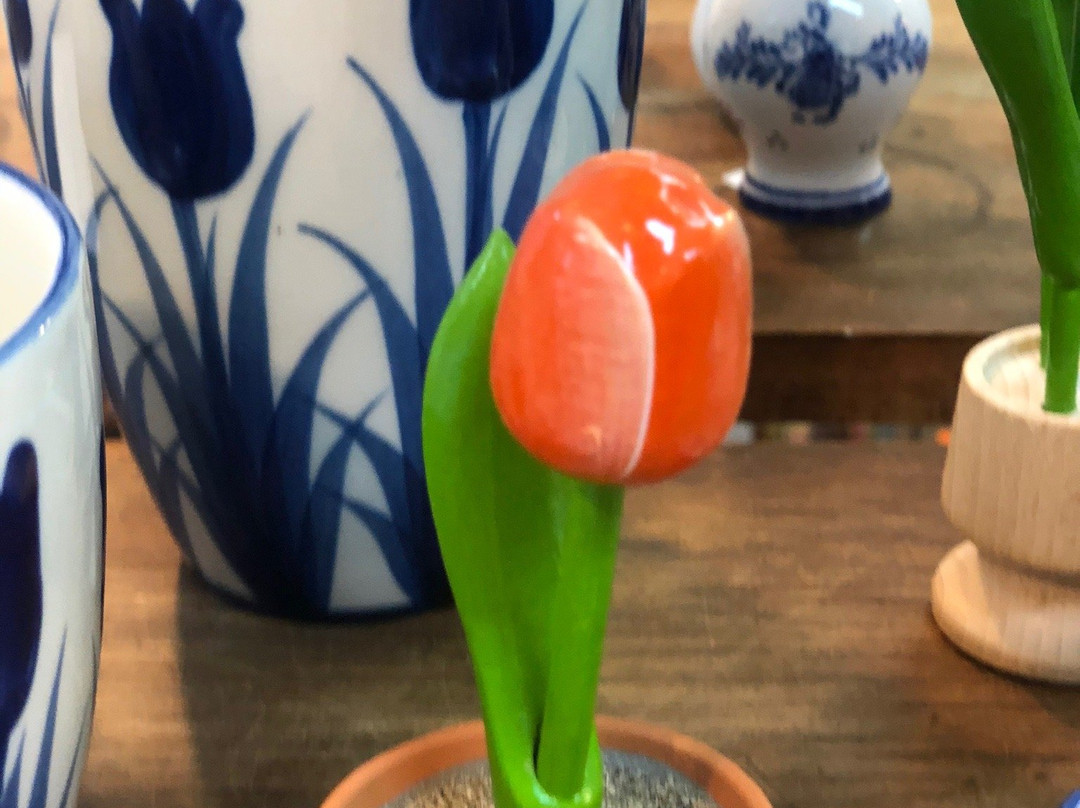 Holambra Garden Hotel主图