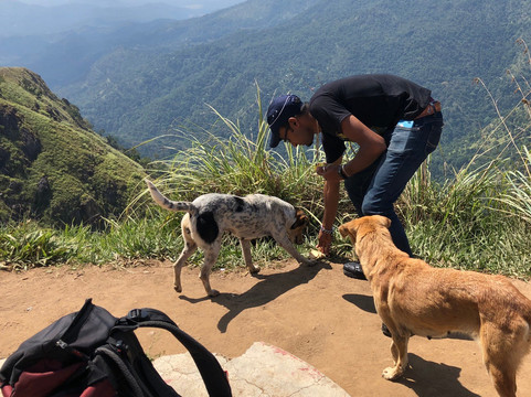 Ella Excursions Tours